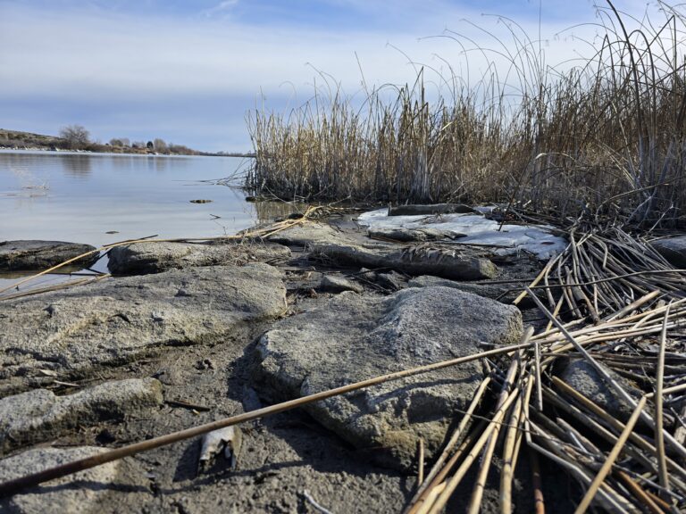 Low-angle landscape photograph of flat river rocks and dried reeds along the shoreline at Milner Historic Recreation Area on the Snake River, Idaho, with calm water and a soft blue sky in the background.