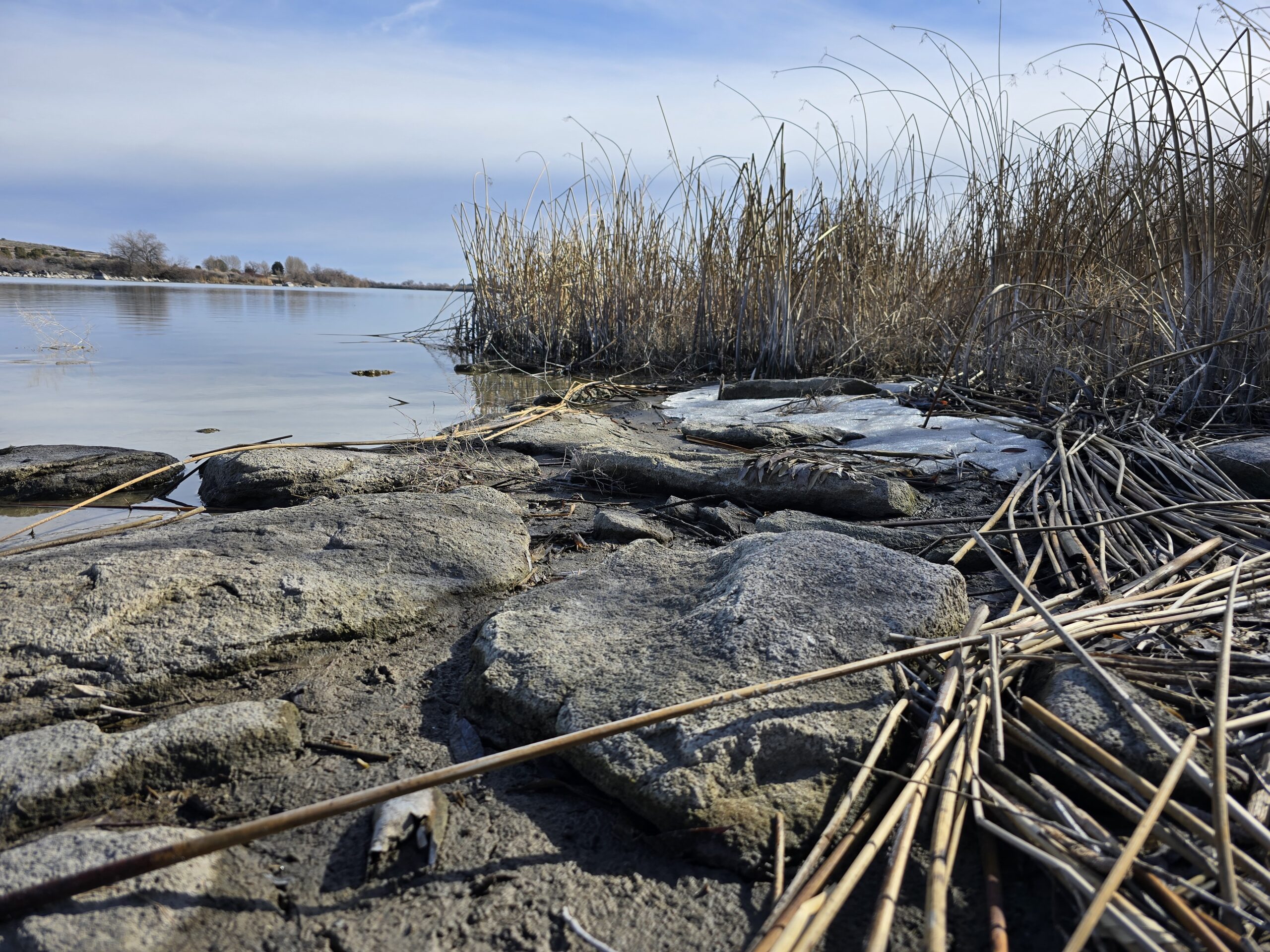 Low-angle landscape photograph of flat river rocks and dried reeds along the shoreline at Milner Historic Recreation Area on the Snake River, Idaho, with calm water and a soft blue sky in the background.