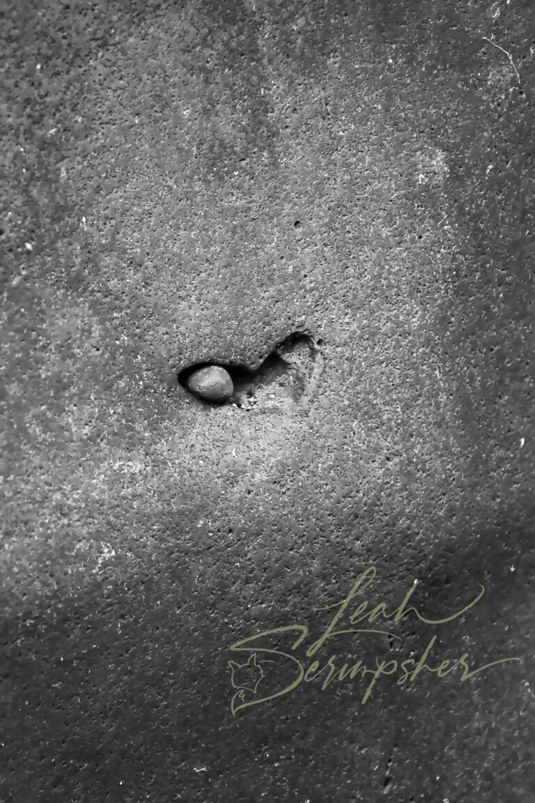 Black-and-white photograph of basalt rock in Black Magic Canyon, Idaho, where water erosion around a small pebble has formed a heart-shaped hollow in the stone.