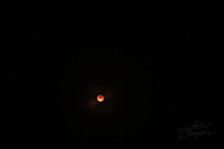 Total lunar eclipse showing a red “blood moon” glowing against a dark night sky with faint stars and thin clouds.