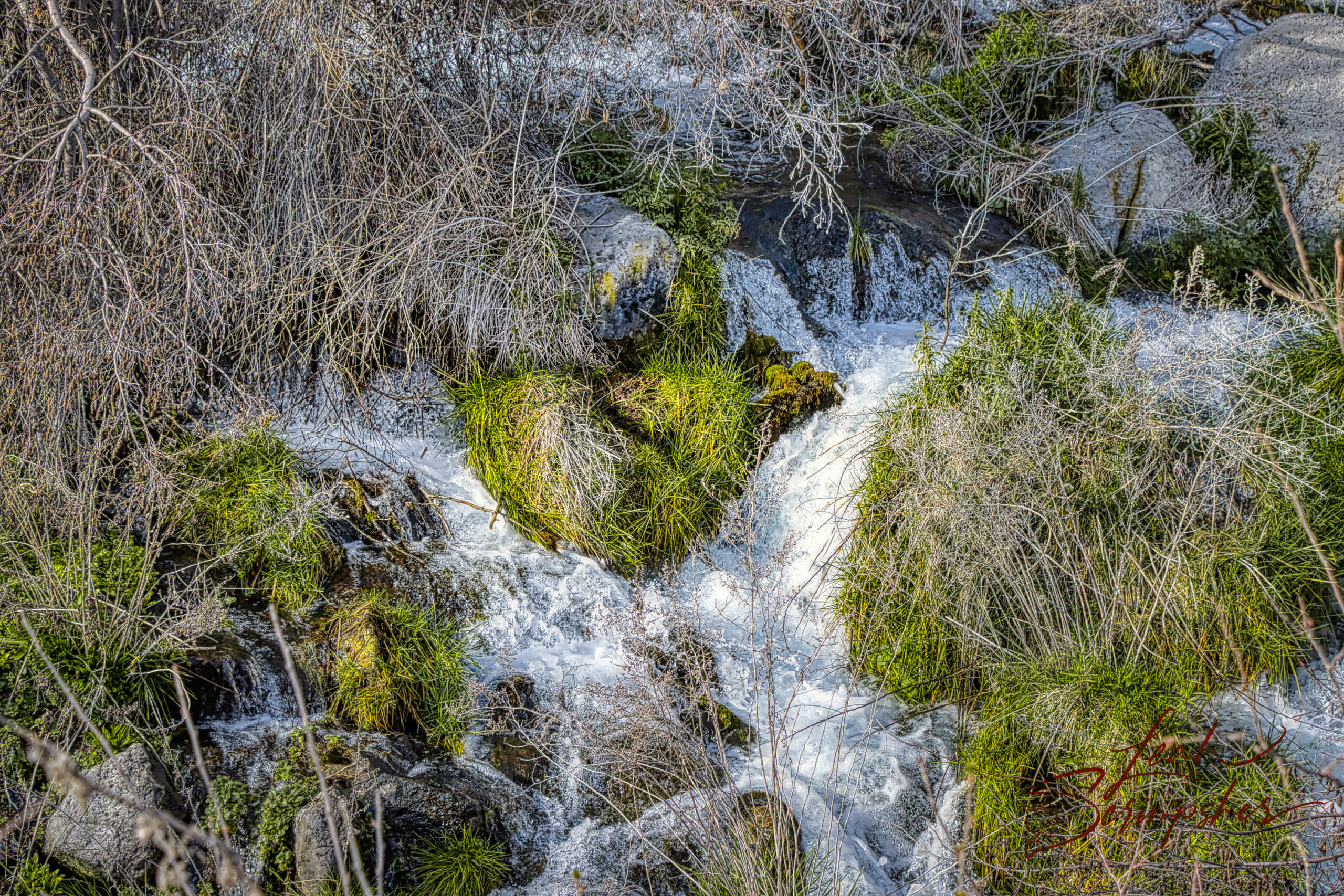 Small cascade flowing through rocks and bright green grass, where the vegetation and water subtly suggest a heart shape in the center of the stream