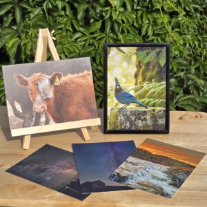 Selection of ScrimpyArts postcards featuring wildlife, landscape, and night-sky photography, displayed with sample framed and easel-mounted prints