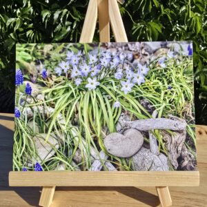 Postcard featuring Heart Among the Starflowers displayed on a small wooden easel, showing a heart-shaped stone among starflowers, grape hyacinths, and weathered driftwood