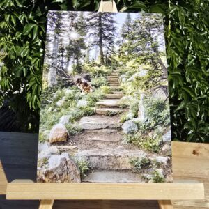 Postcard featuring Stepping Up displayed on a small wooden easel, showing stone steps making a trail that climbs a path through the trees.