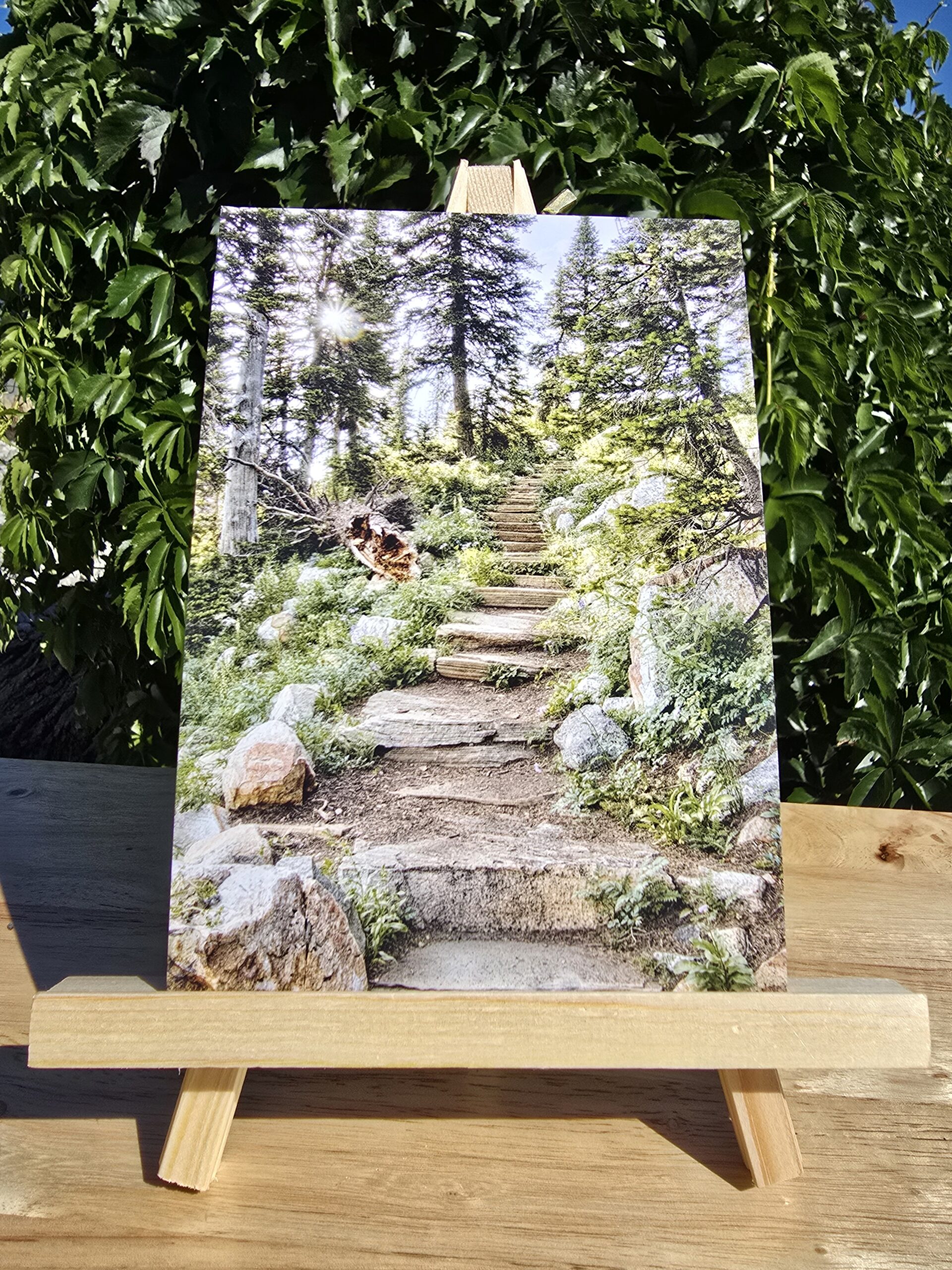 Postcard featuring Stepping Up displayed on a small wooden easel, showing stone steps making a trail that climbs a path through the trees.