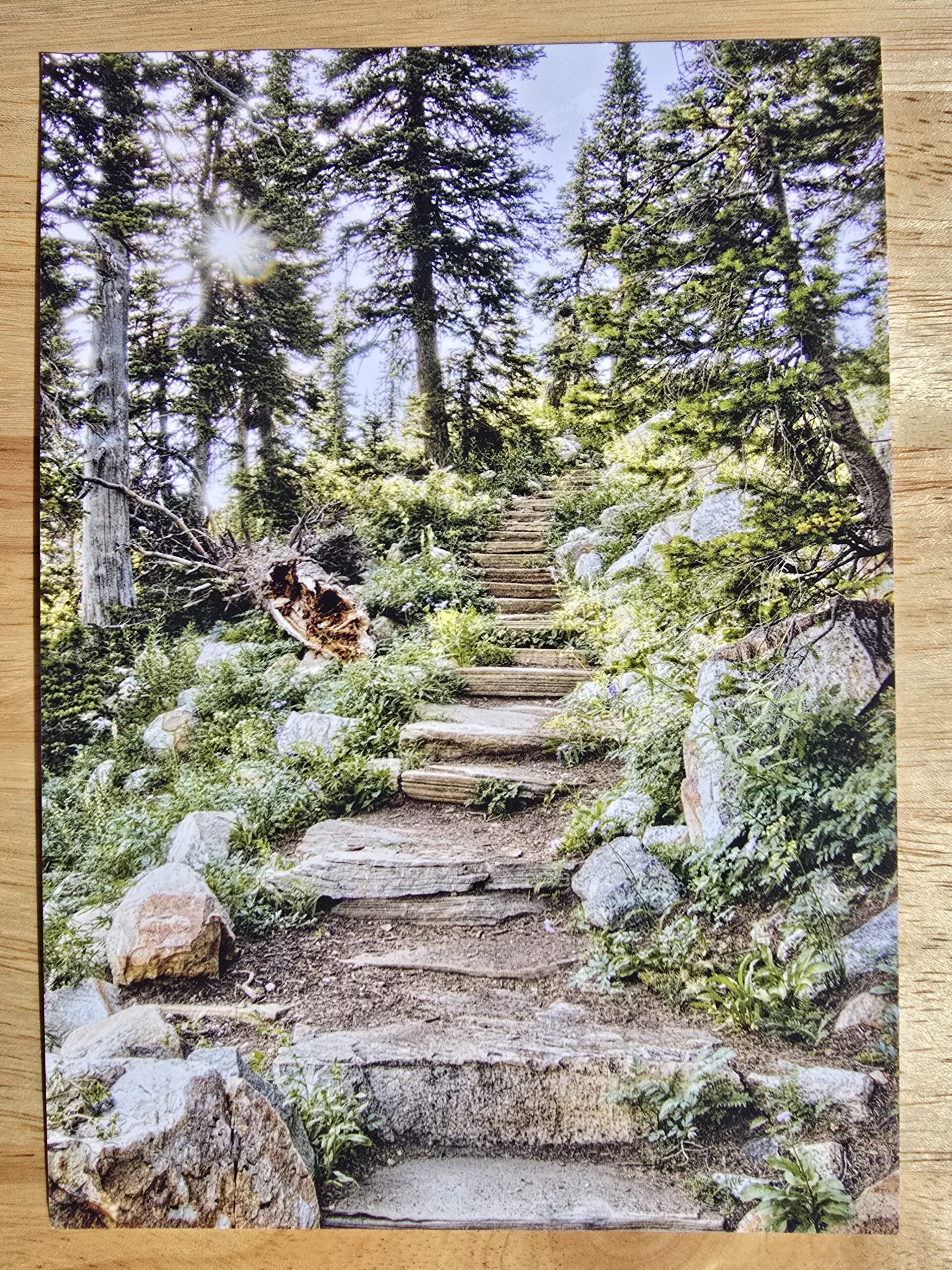 Photograph of Stepping Up postcard displayed flat on a table, postcard shows stone steps making a trail that climbs a path through the trees.